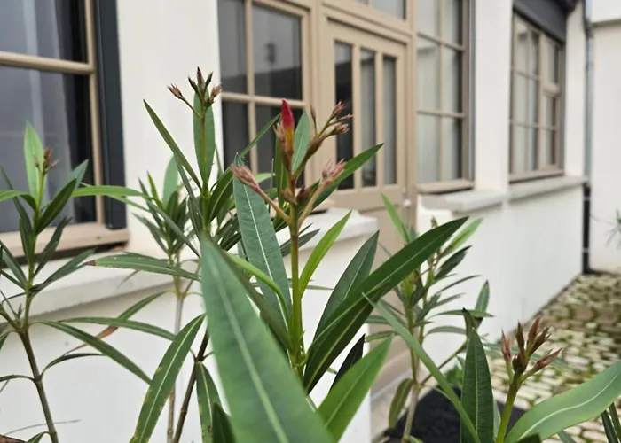 Loft Esprit & Lumiere Ντιζόν